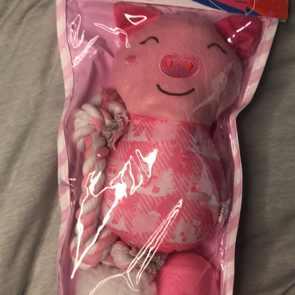 Holiday Dog Toys 6pc - Picture 3 of 7